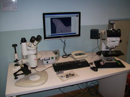 Reparto metallografico