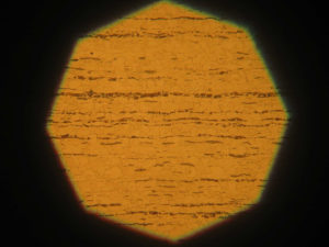 Bandogenazione accentuata